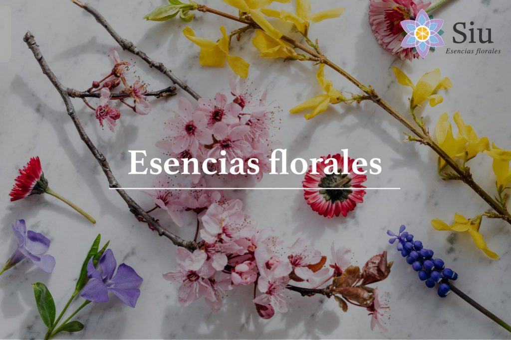 esencias florales