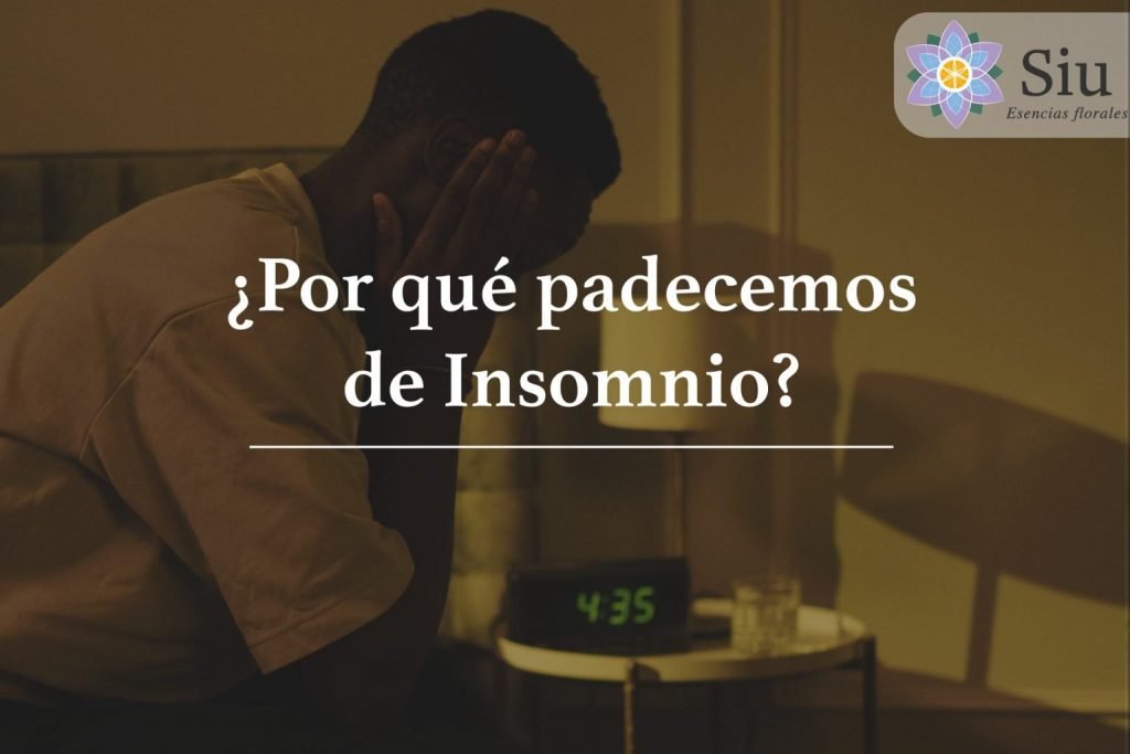 por que padecemos insomnio