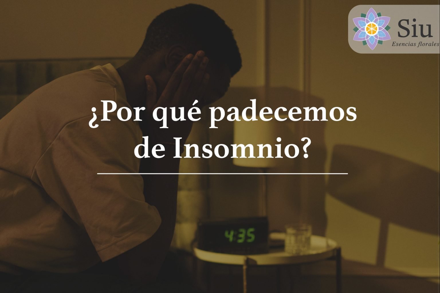 por que padecemos insomnio