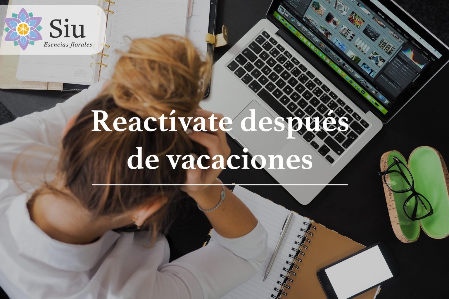 reactivate despues vacaciones