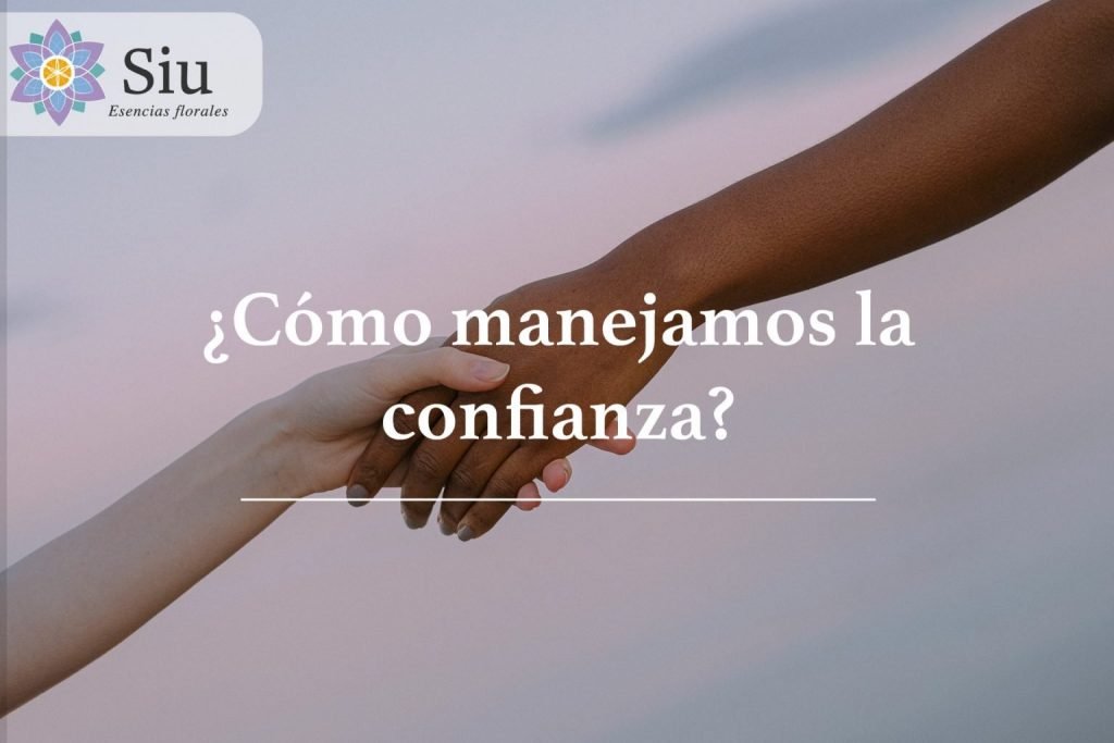 manejar la confianza