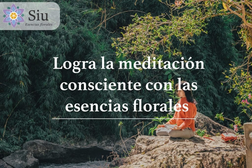 logra la meditación consciente