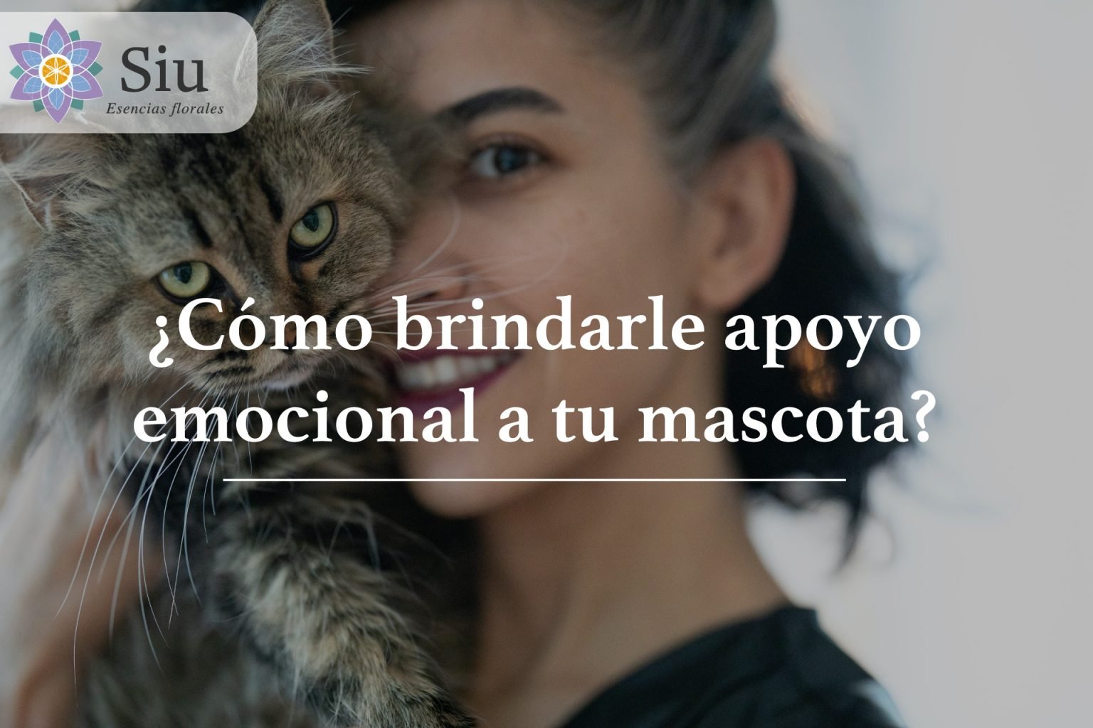 brindar apoyo emocional a tu mascota