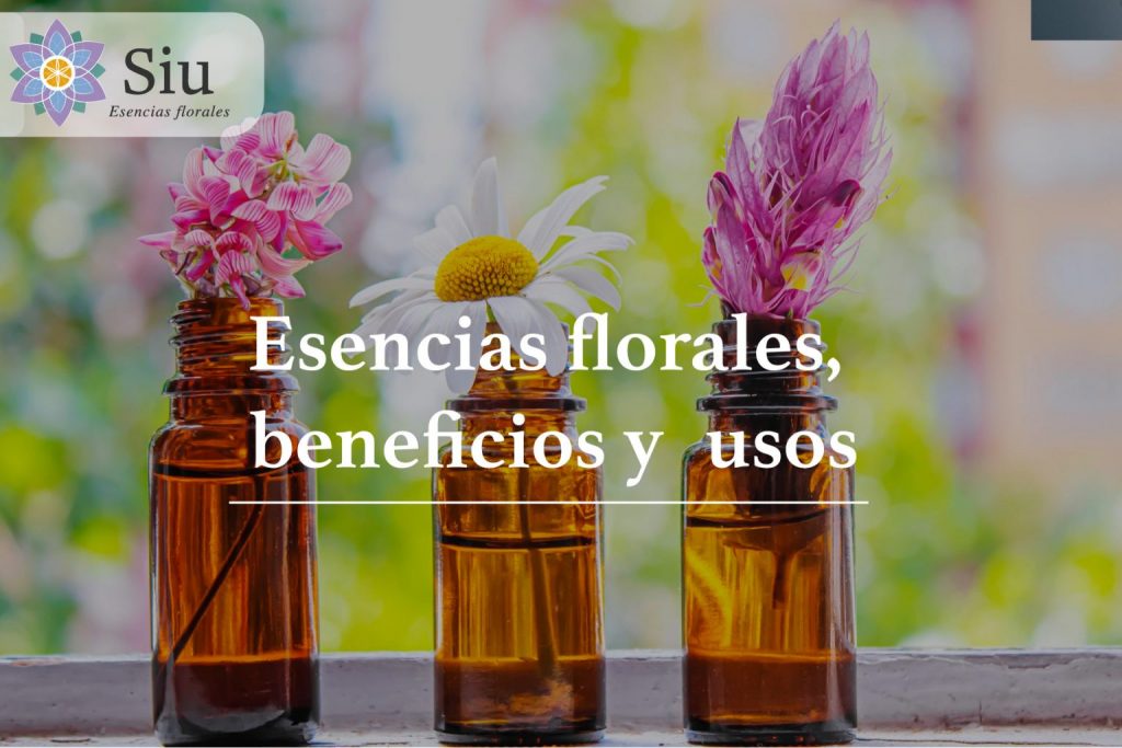 beneficios y usos de las esencias florales