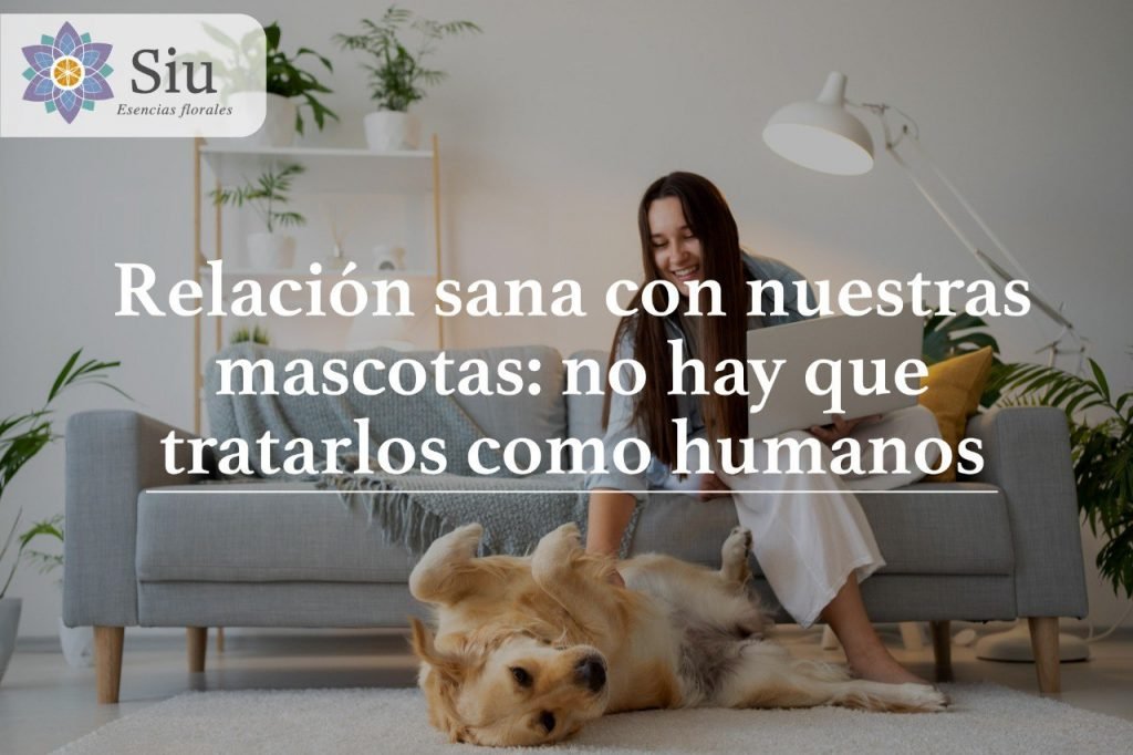 relacion sana con mascotas