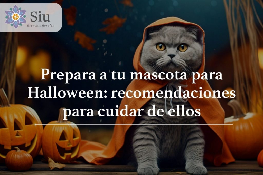 mascotas halloween