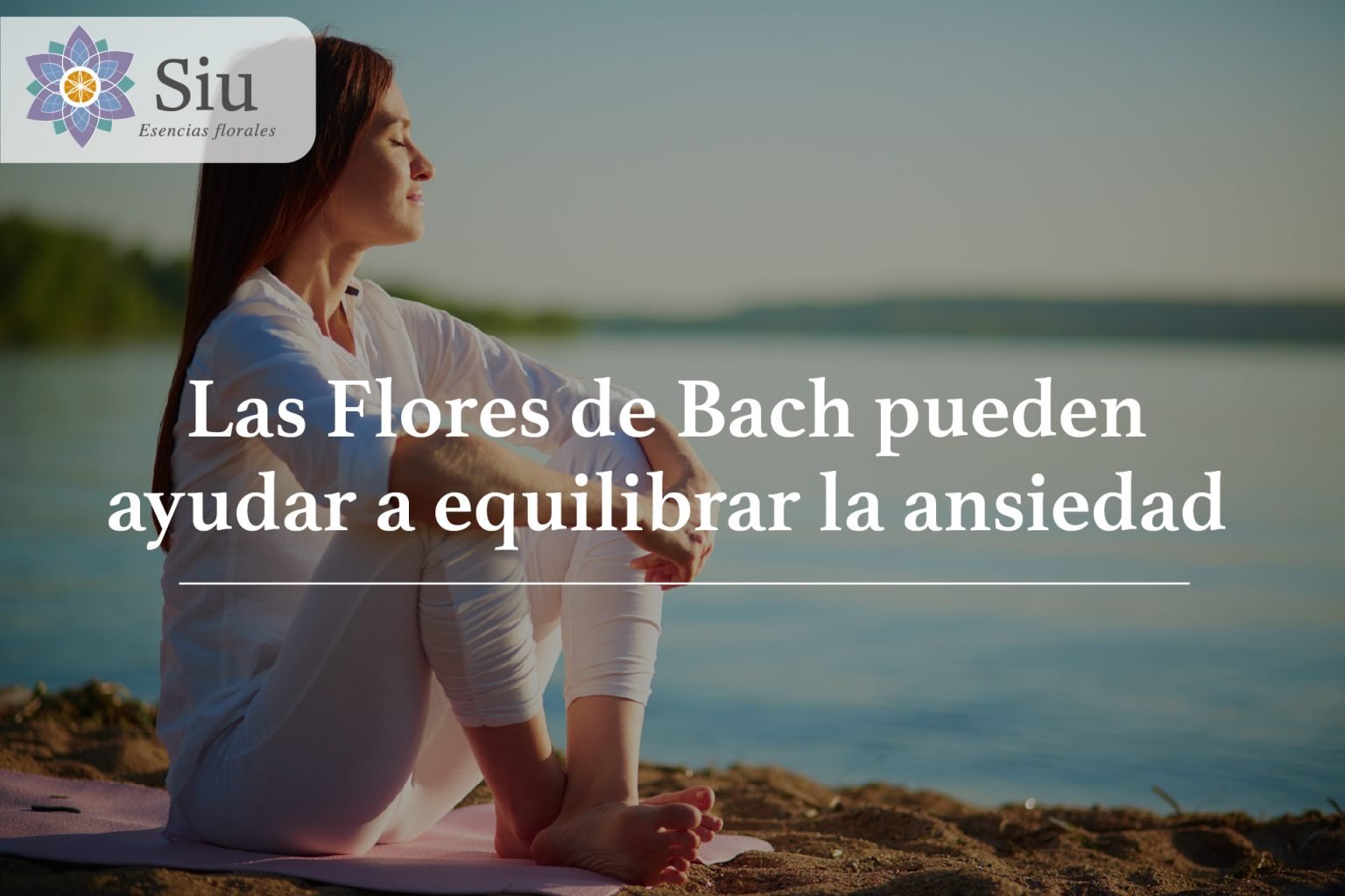 las flores de bach