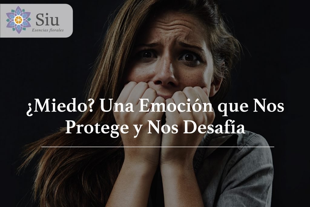 blog-miedo-emociones