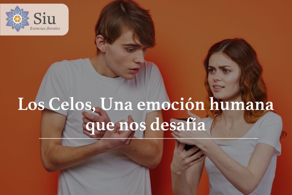 blog-los-celos