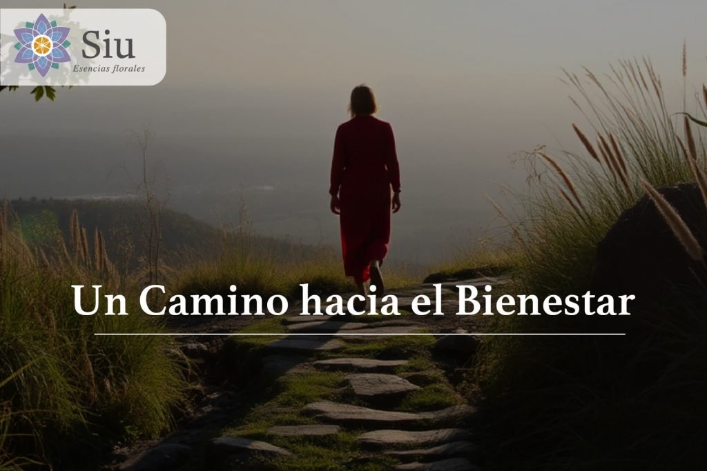 portada-blog-mindfulness-siu