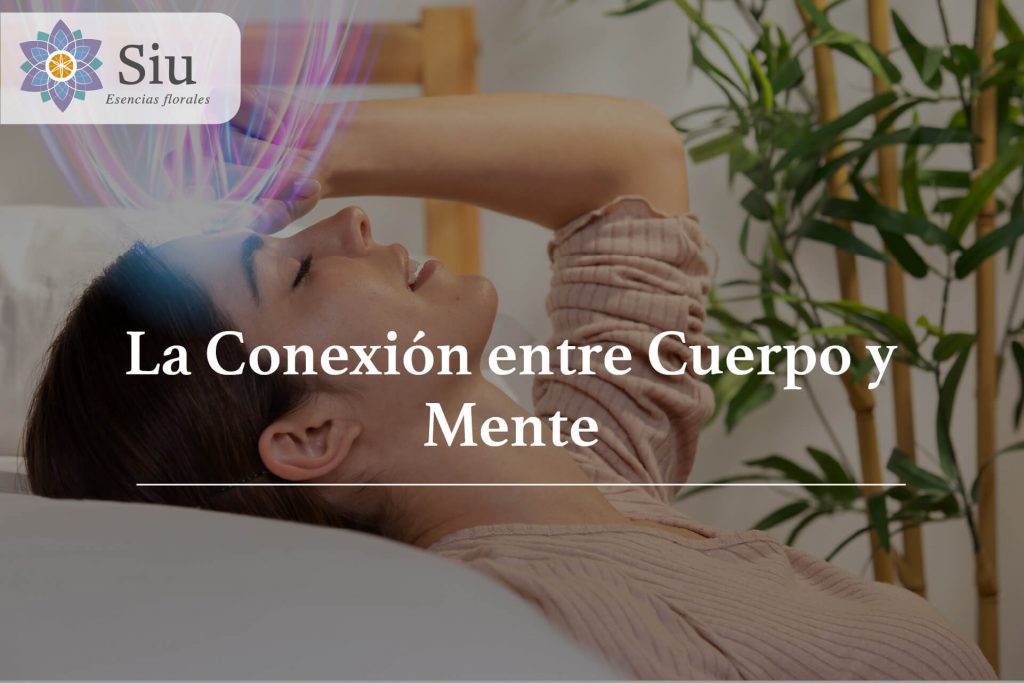 portada-blog-conexion-entre-cuerpo-y-mente-siu